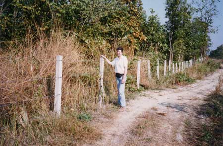 Regenwald-Thailand Thungsaliam 1994